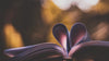 Handgebundenes Buch – Hero-Hintergrund
